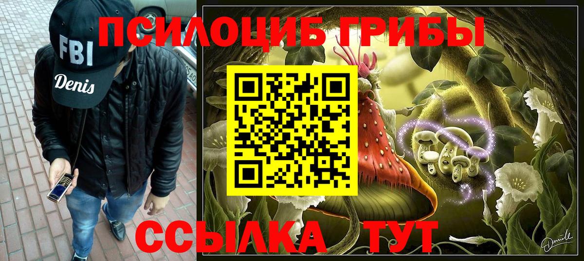 Галлюциногенные грибы MAGIC MUSHROOMS  Вход с VPN  Шали 